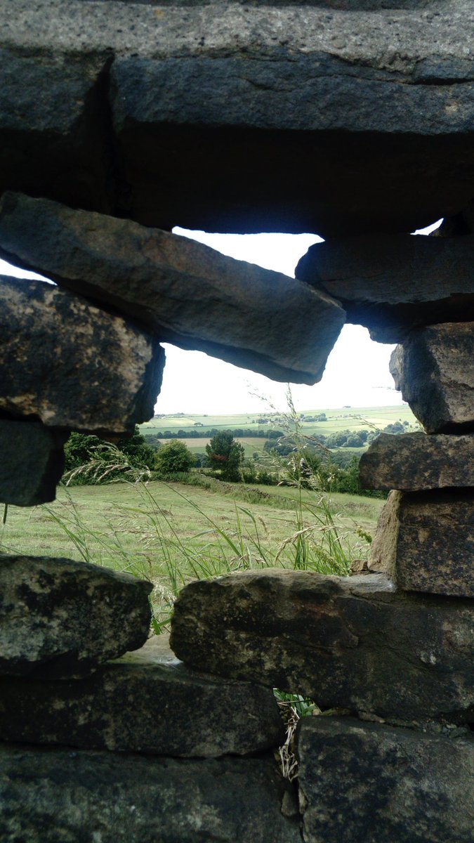DavidmAllison1's tweet photo. Went for a great walk this morning near where I live๐ธ๐ฌ๐ง๐ณ๐พ๐๐ฆ๐๐๐๐๐๐๐ฌ๐ง #photography #Neverstopexoring #englishcountryside ๐ฑ๐ฑ๐ฑ https://t.co/HekOUPMUpX