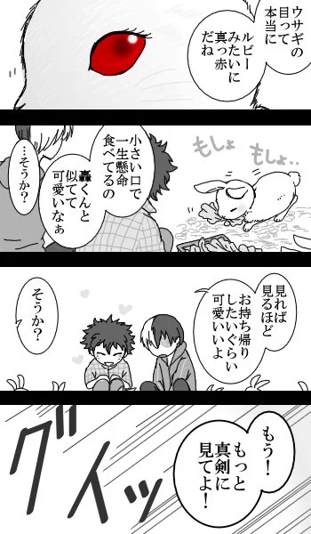 「もちろんいいけどさぁ!!!」
お題は【ルビー】
#轟出版深夜のお絵描き一本勝負 