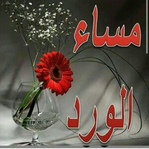 لا تقل انالااتغير 
ستمضي الايام وتتخلى
عن اشياءادمنتها
ستترك احداوستلغي حلما
ويوم ماستجلس على 
رصيف الذكرى ولاتصدق
انك لاتزال تعيش من دونها!