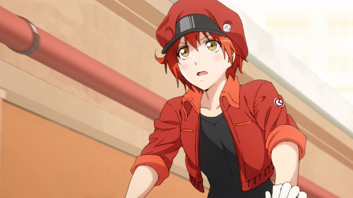 Hataraku Saibou/Cells at Work - Você conhece o seu Sangue? (Ep. 1) 