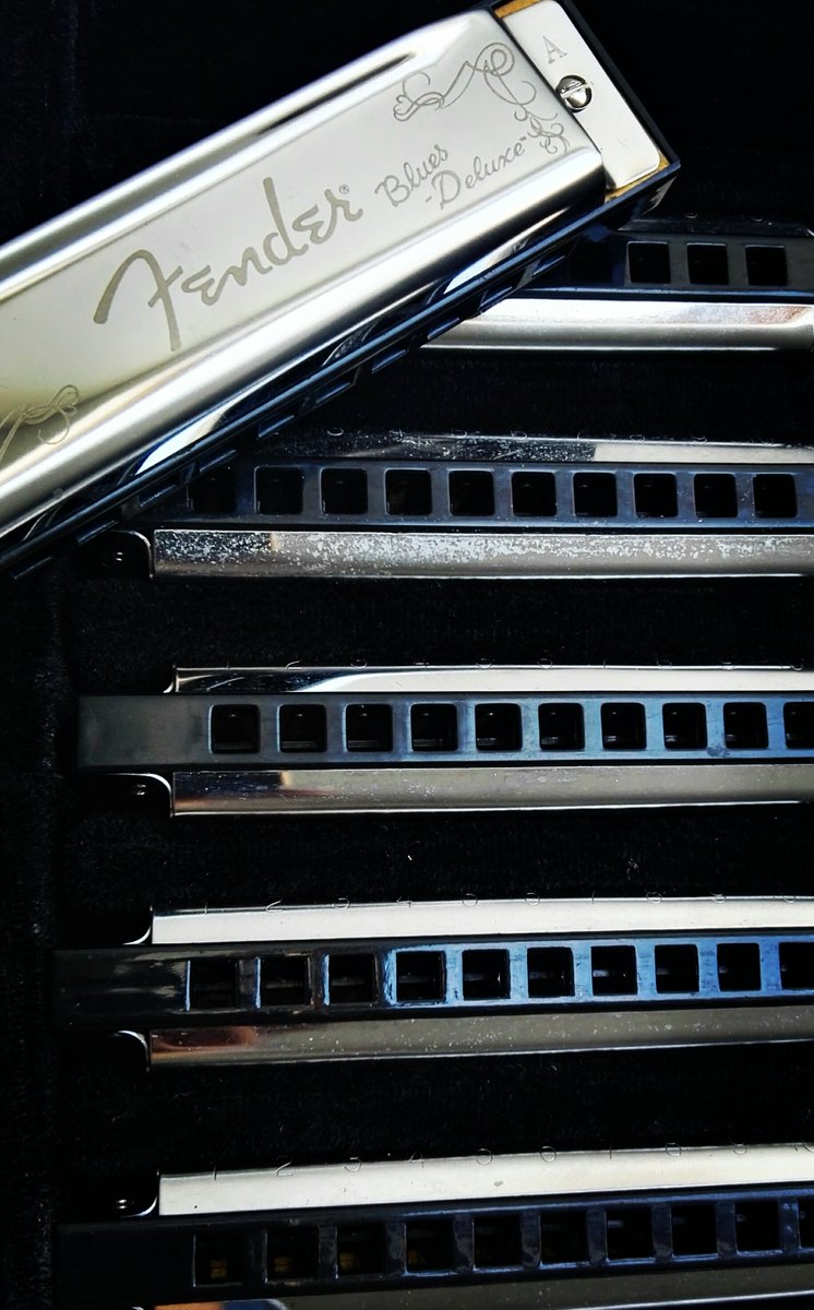 TheJadeVine's tweet photo. "These fellas made today's recording a bit more special"
#harmonica #instamusic #music #fender #fenderblues #blues #recording #instapic https://t.co/lQ60ZEqrYF