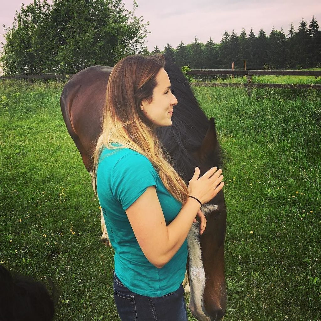 Honest Horsemanship tweet media