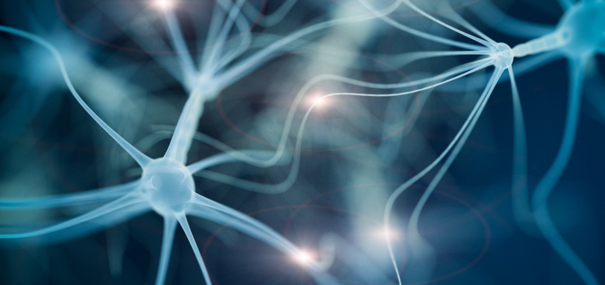 Stanford researchers just created artificial brain synapses that could boost the capabilities of many technologies. stanford.io/2sneFrf