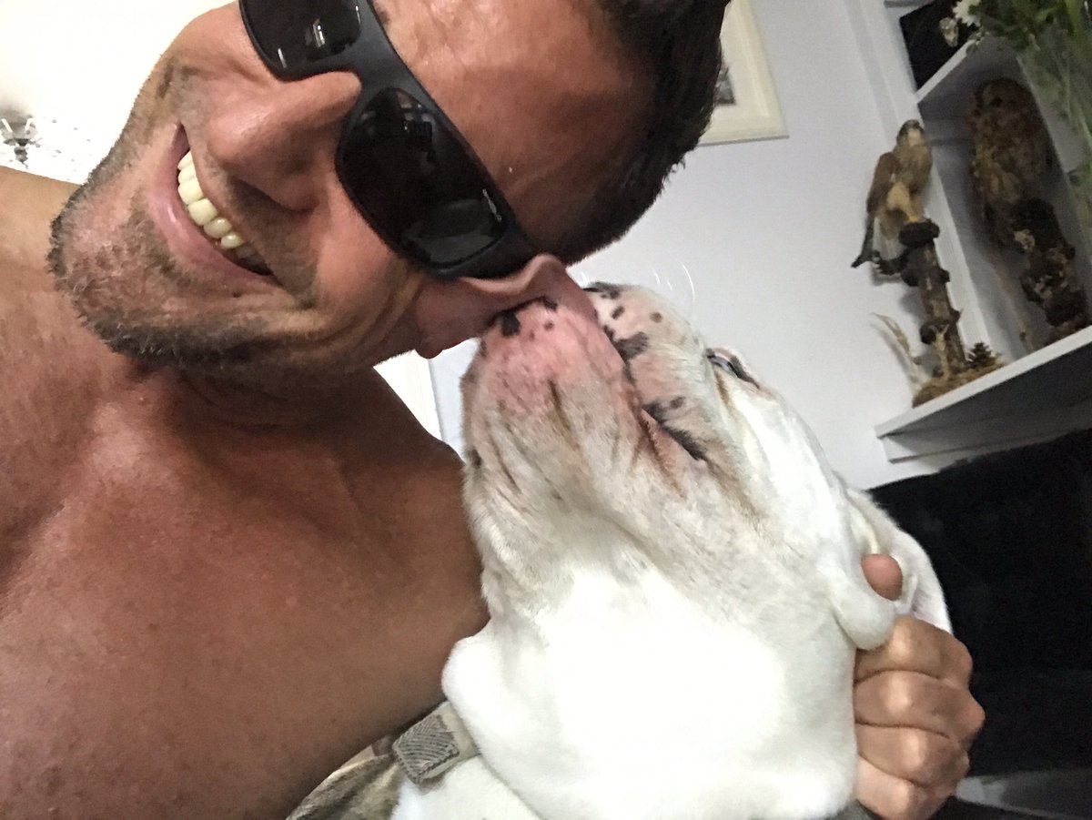 Mr_JSheffield's tweet photo. My new best mate #Bear ❤️ https://t.co/ZMaglP7mg8