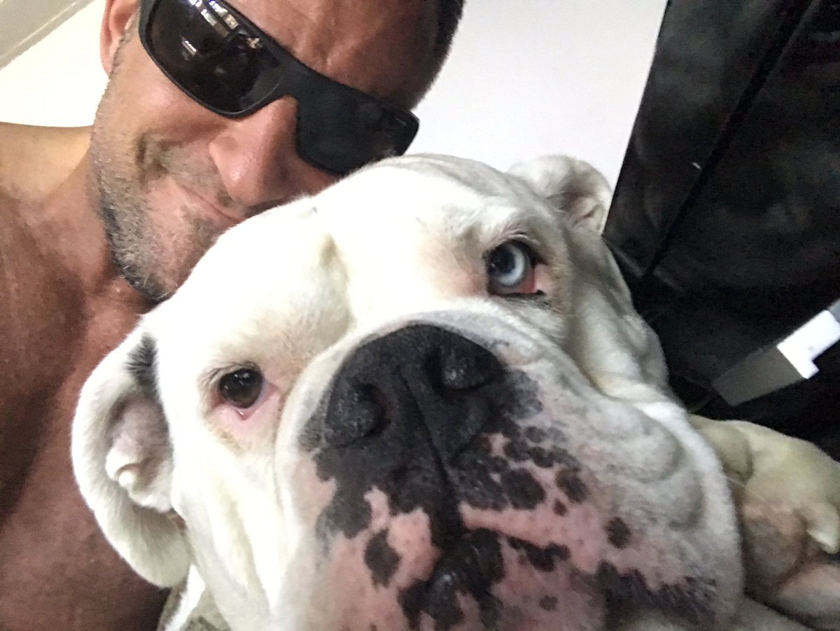 Mr_JSheffield's tweet photo. My new best mate #Bear ❤️ https://t.co/ZMaglP7mg8