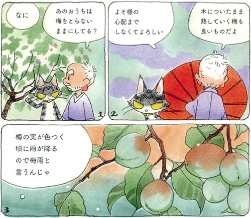 しとしと雨が降るこの季節「梅雨」
なぜ「梅」の文字が使われているのか、おじいがジャックに教えていました。
オチビサン掲載のAERAは7/3発売(スタッフ)
最新制作過程公開中 https://t.co/MOIj7635Ya