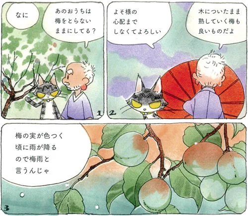 しとしと雨が降るこの季節「梅雨」
なぜ「梅」の文字が使われているのか、おじいがジャックに教えていました。
オチビサン掲載のAERAは7/3発売(スタッフ)
最新制作過程公開中 https://t.co/MOIj7635Ya 