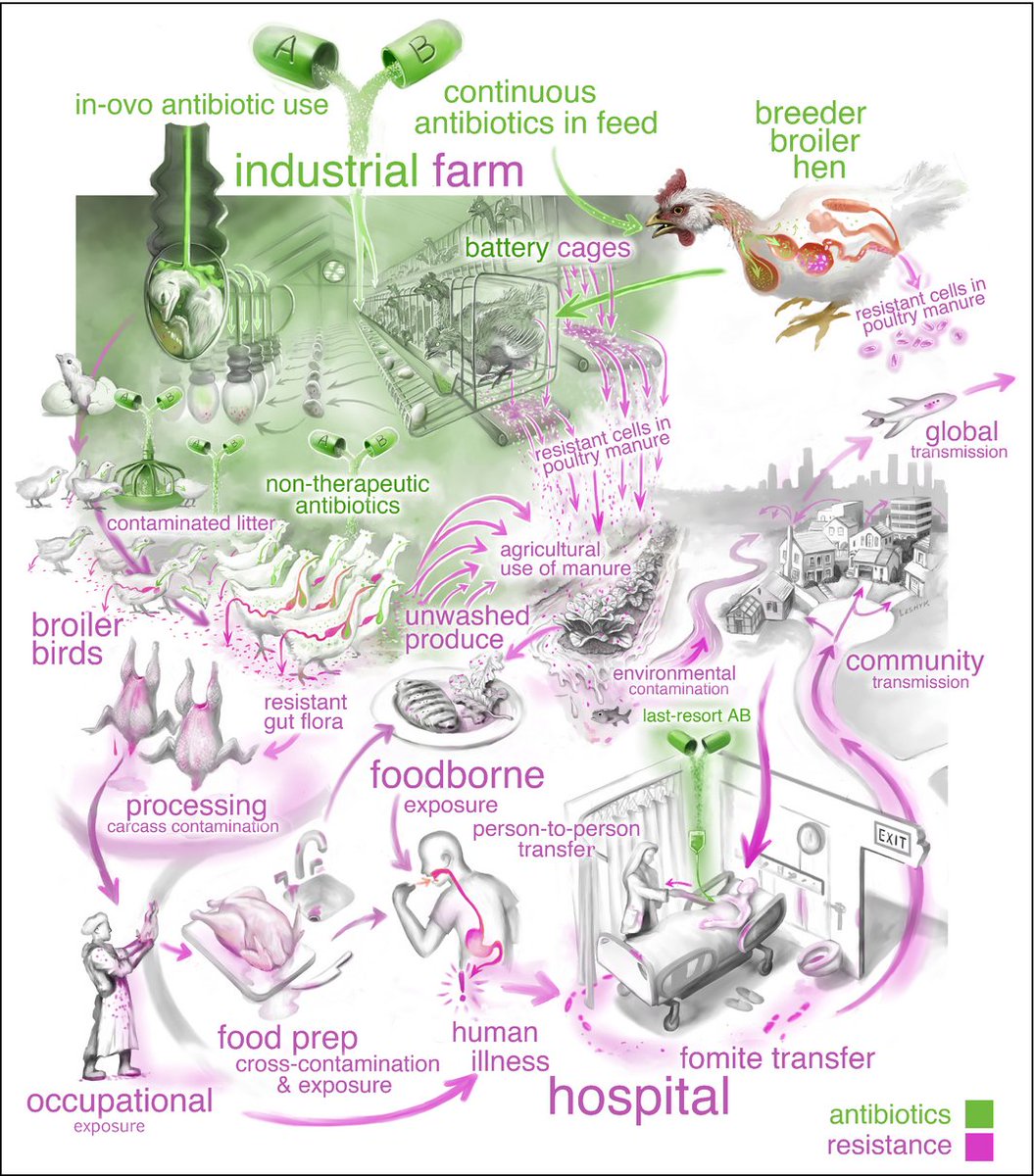 Battle Superbugs ☮️ (@battlesuperbugs) on Twitter photo We're really digging the art in our latest publication on the spread of antibiotic resistance. ow.ly/8CPW30dc2hU Thanks <a href="/victorleshyk/">Victor O. Leshyk</a>! We're really digging the art in our latest publication on the spread of antibiotic resistance. ow.ly/8CPW30dc2hU Thanks <a href="/victorleshyk/">Victor O. Leshyk</a>!