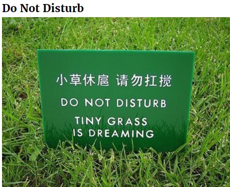 Funny Translation Errors Free #translation #proofreading ProofreadingCircle.com #1nt Free editing svcs exchange