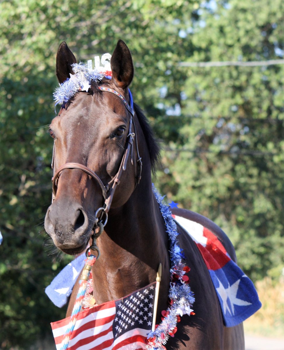 Canterca's tweet photo. Happy 4th of July Weekend! #seafiresunday https://t.co/gWh2h9qPeh
