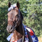 Photo by CANTER California (@Canterca)