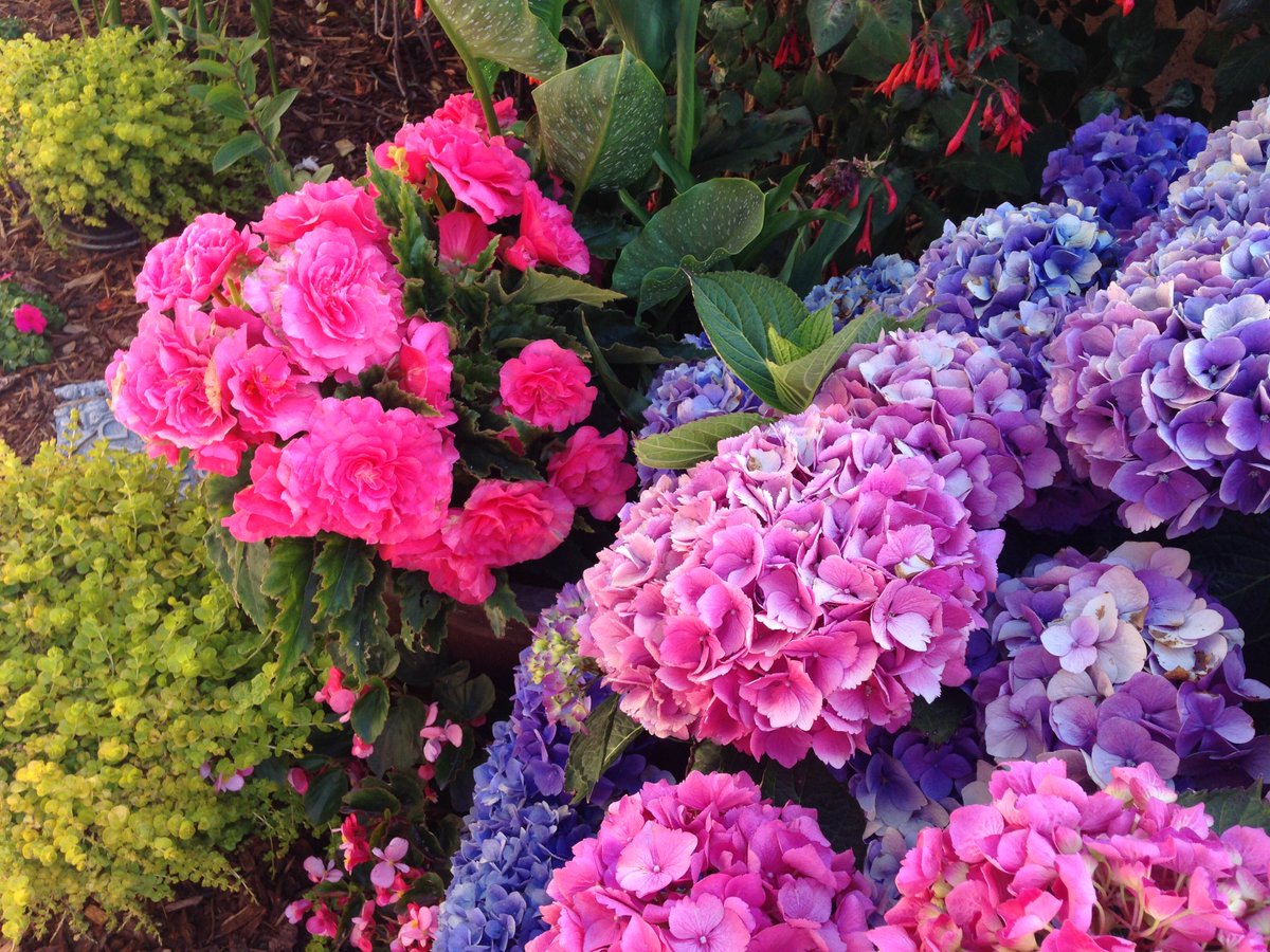 HappyQuailPress's tweet image. "live your life like it is the last day of School, happy &amp;amp; excited for your day for your moment" ~Sean 🎗1994-2007 🎗#ChildhoodCancer quote