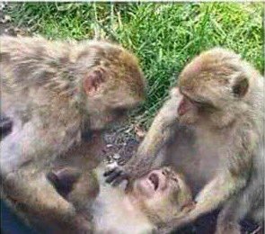 DaRealSir_Funky's tweet photo. @Thembeesile 🤣🤣🤣🤣🤣 https://t.co/bukIljOHzi