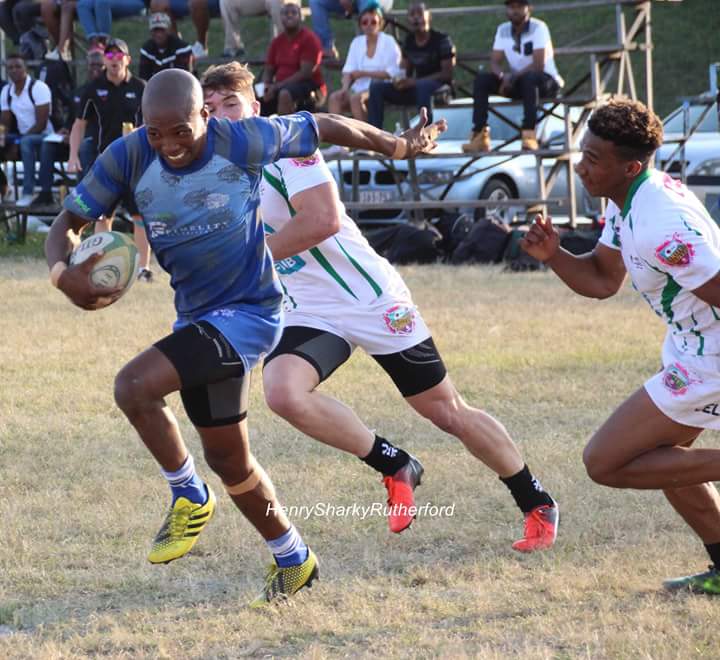 🦈 Henry Rutherford 🇿🇦 on Twitter: 