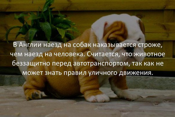 JP_Leon94's tweet photo. Научный журнал | Факты https://t.co/F6mreQ6UTm