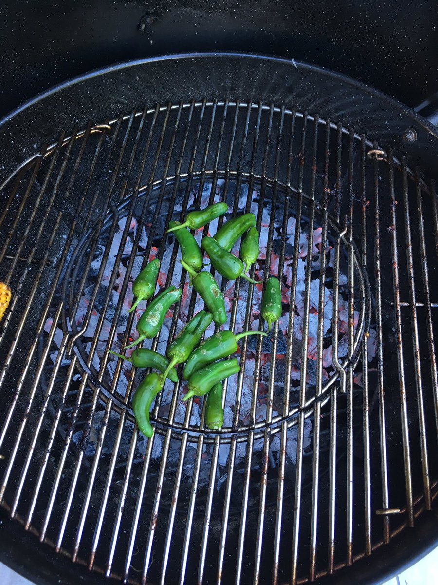 modjemal's tweet image. Padron peppers baby !!!! #summer