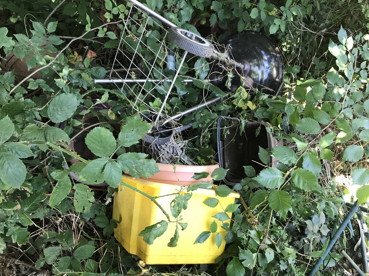 <a href="/StevenTommo/">steven thompson🇬🇧🇪🇺 🌈</a> <a href="/Labourstone/">Labourstone</a> <a href="/wfcouncil/">Waltham Forest Council</a> @litteractionwf @fora_e11 Could be worse.. try centre rd on Wanstead flats