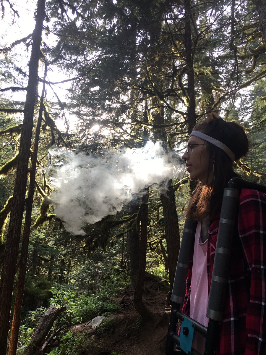 SlothEmbassador's tweet image. 