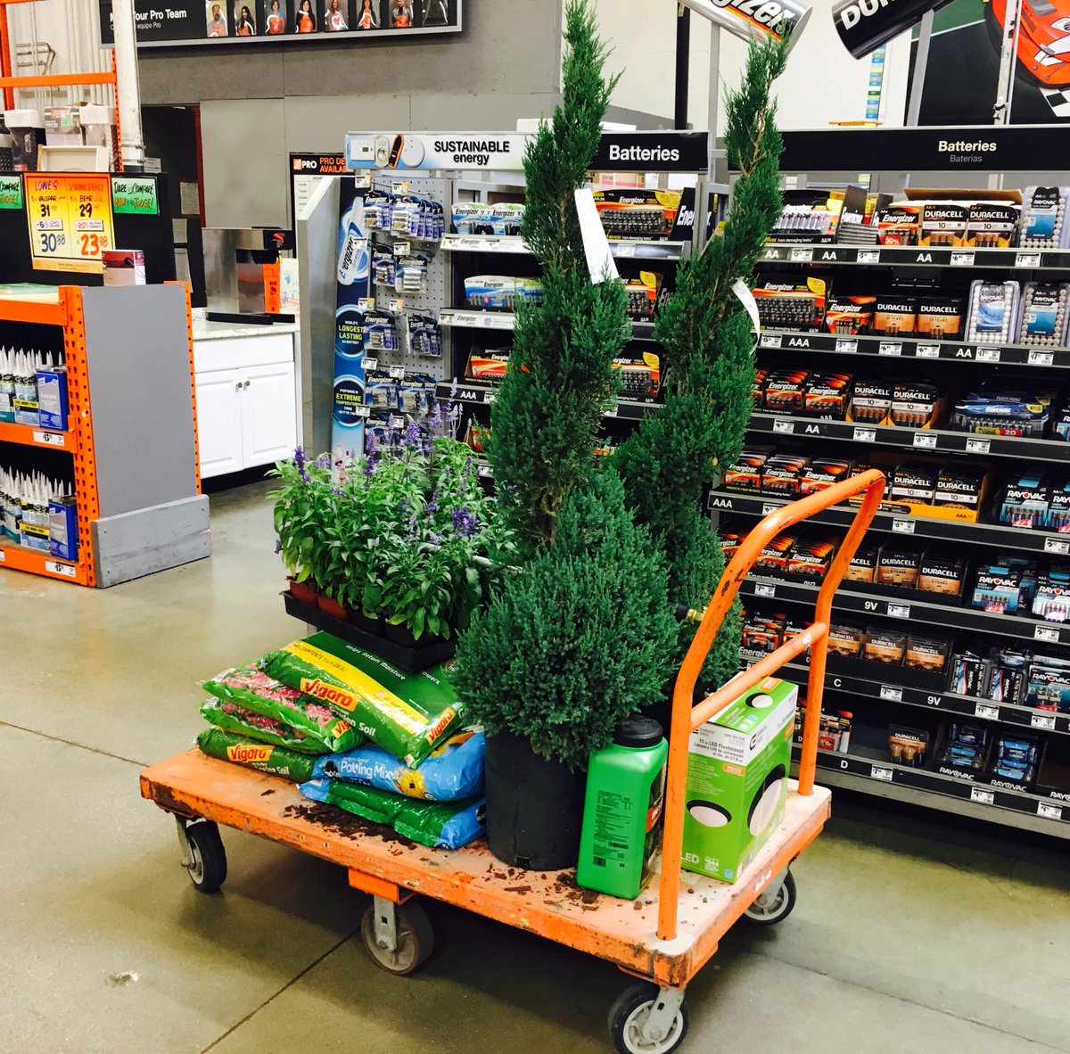 Pyrate_Lass's tweet photo. So excited! Weโre gonna garden today. #gardening #homebeautification https://t.co/qra4BBfMdJ