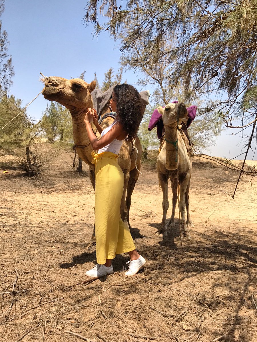 floracoquerel's tweet image. 💛☀️🇸🇳 #Senegal