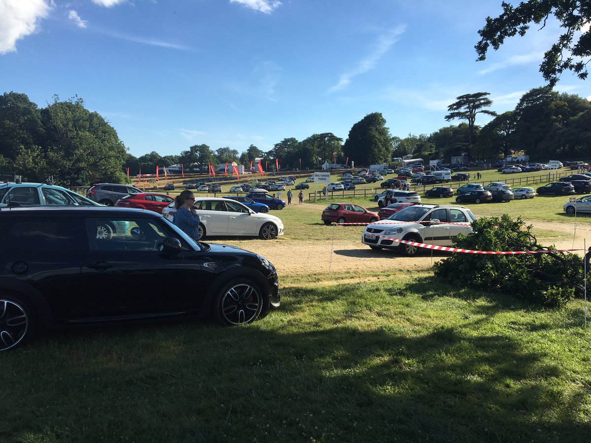 giudittamora's tweet photo. My #JCWorks just about survived a bloody disaster - half of the tree fell off 2ms away from our parking spot 😨 #miniFOS #GoodwoodFOS https://t.co/4BDA72Zyg2