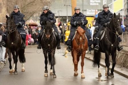 GoreleAtParti's tweet photo. Milletvekilimizi kaçıran at hırsızı karşılığında para istedi ama sakin olun polisimiz iş başında. 🐴😊 https://t.co/XSkHgHo8e0