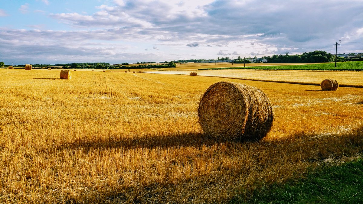 nyludo's tweet image. 