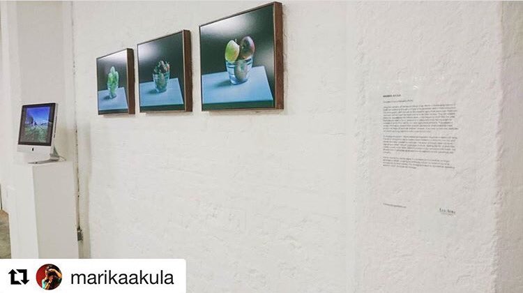 Tomorrow is the last day the show is open, don't miss out! 

Work by Marika Akula #FreeRange #LuxAura #exhibit #London #pesticides #art