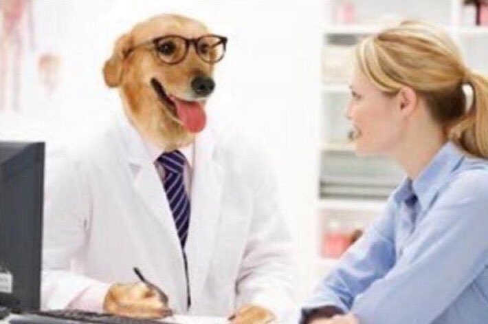 —Doctor, mi novio no me hace caso por estar en el celular
—Muevale la cola..