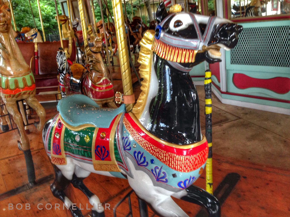 SFNEUltimate's tweet photo. Two freshly painted horses return to the 1909 Carousel at Six Flags New England.
@SF_newengland #thrillitup #carousel #Horses #Illions https://t.co/SkFLRCU3fI