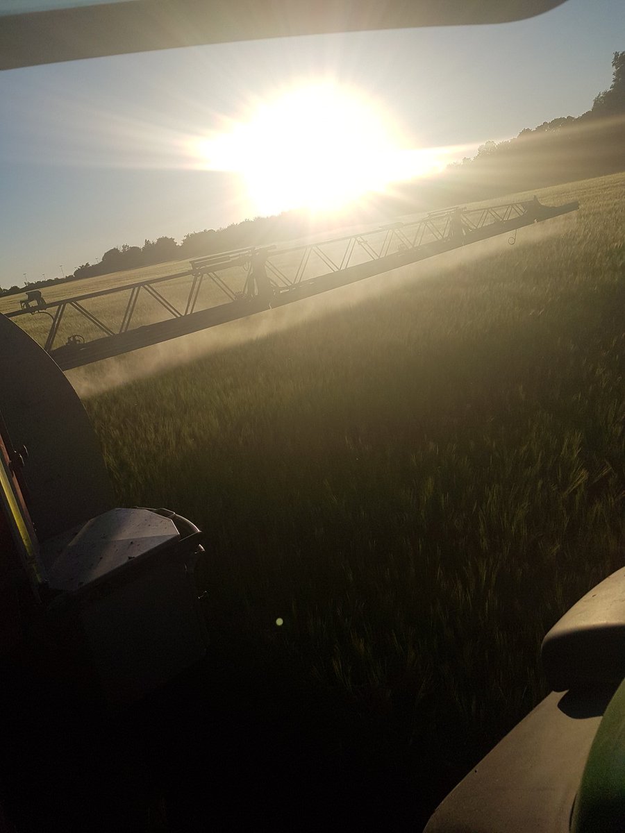 NolanFarming's tweet photo. Spring Barley looking amazing this year.
Clean and full of potential.
#Readytoyield!
@johnjmulhare @WheelockBednar https://t.co/ZgIbKuhDG6
