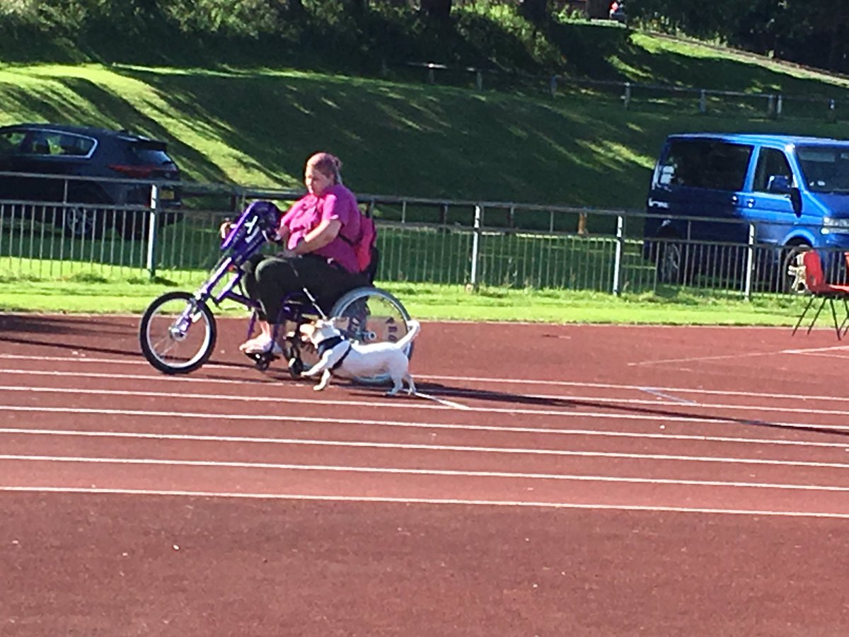 richardehowarth's tweet photo. @CyclingProjects @AccessibleFest A novel way to exercise the assistance dog at today's Accessible Bury Festival. https://t.co/sQvCFxrH2v
