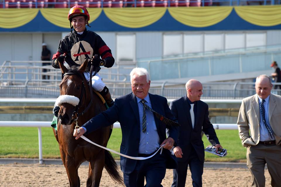ONTRacing's tweet photo. Holy Helena ("bright, shining light") shines bright in #QP17. Photo (Woodbine Oaks) by @mrwillw #Horses #HorseRacing #QueensPlate https://t.co/bcPABvQvbu