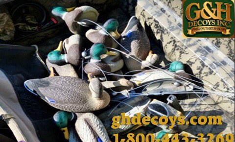 MitchellGertner's tweet image. Dependable,durable, and affordable decoys made right here in the USA. Happy Fourth of July!!