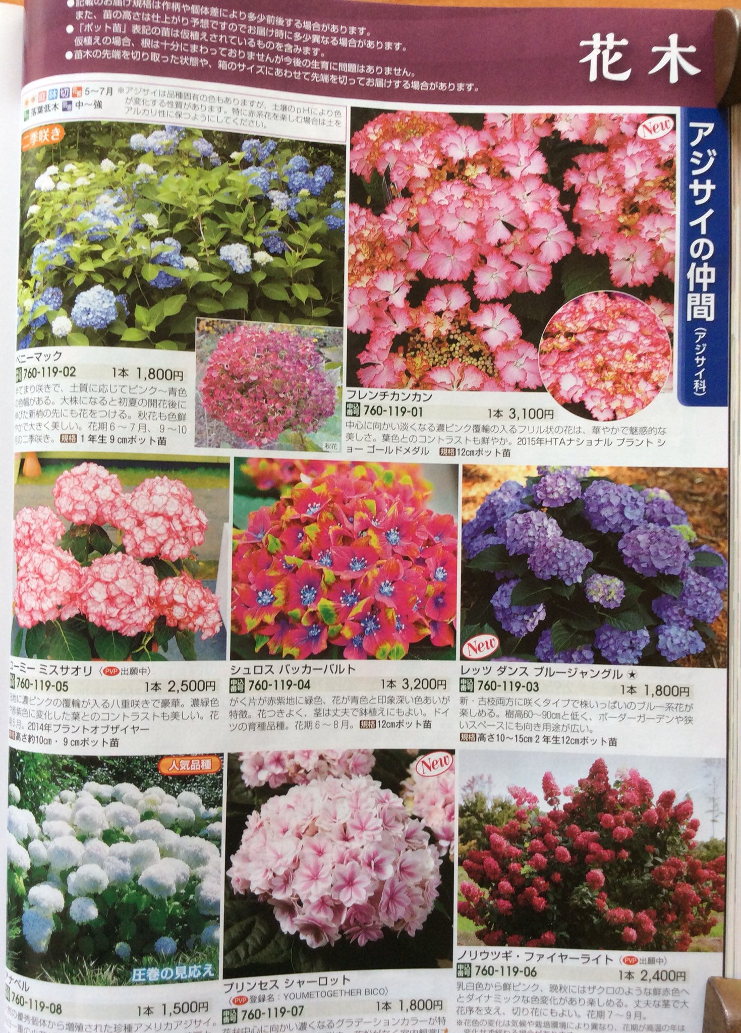 雑貨奥様 タキイの農園芸通販カタログ 花と野菜ガイド 17夏秋号 です いやぁ 100円で見応えあるね ビオラのネーミングに微笑ましくなったり 紫陽花の美しさに心奪われたり 会員になっちゃおうかな タキイ ガーデニング T Co