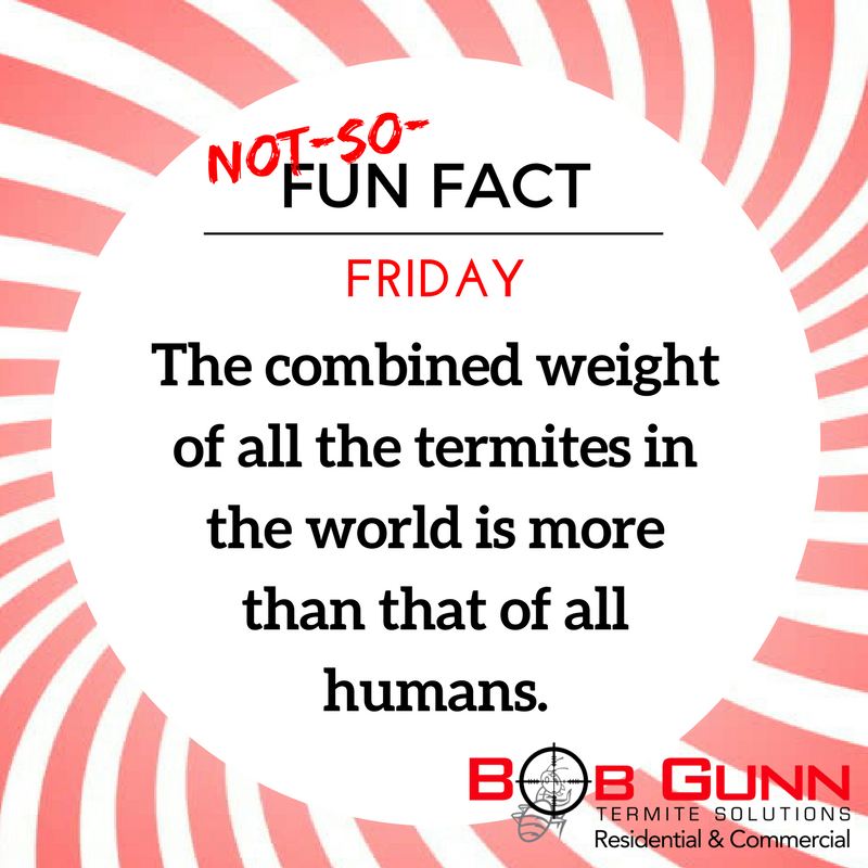 BobGunn_'s tweet image. It&apos;s unbelievable, but we kid you not it&apos;s true! #NotSoFunFactFriday #TermiteFacts #BobGunnTermiteSolutions