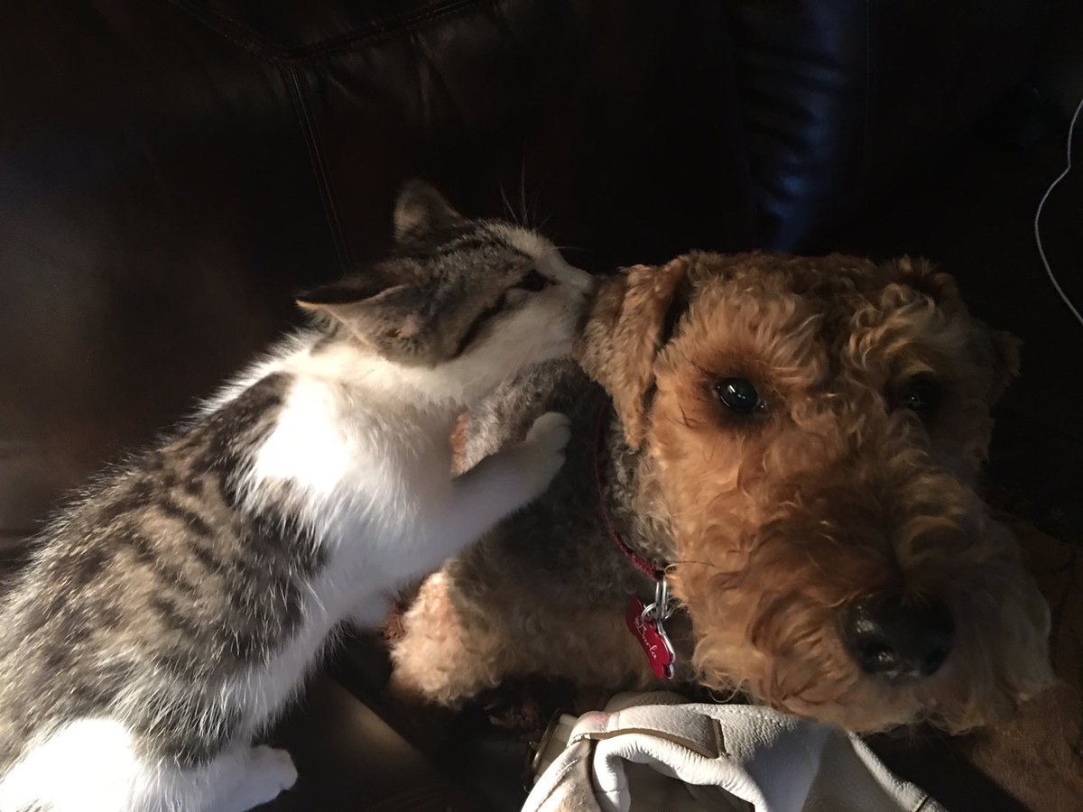 Ambular73's tweet image. 🎶"Hey, how ya doing little mama...let me whisper in your ear..."🎶