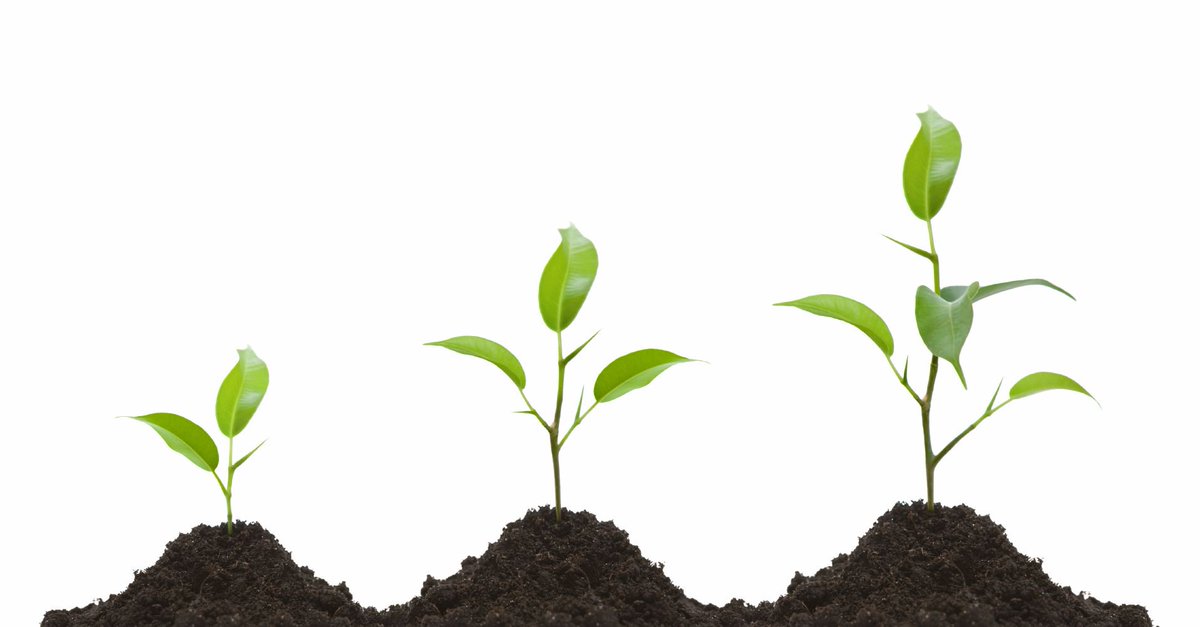 GatewayWorks's tweet image. Want to increase #cannabis growth rate 200%? Grow your plants in AIR : @GrowX talks aeroponics on #GatewayOH buff.ly/2teKbbD