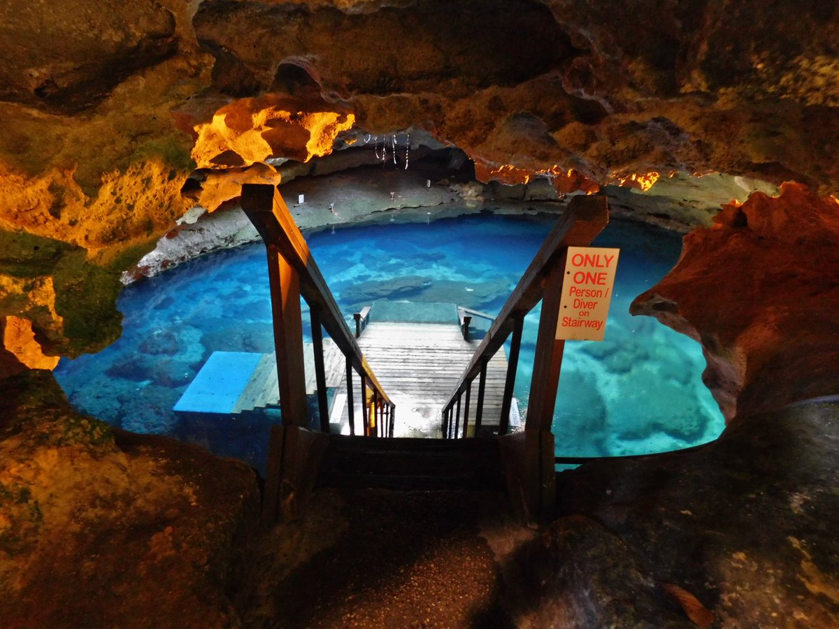 FloridaStateOP's tweet photo. Go down the steps if you dare! Seriously, they're slippery.... Devil's Den day trip heads out 7/15🏊‍♂️
https://t.co/40pgBXLFG0 https://t.co/1ZIJY4ayG5