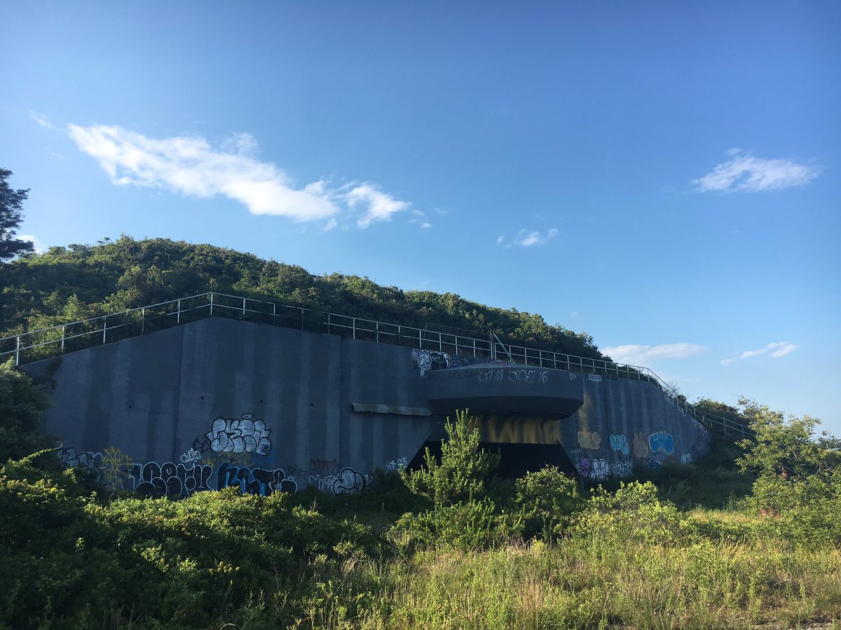 transit_media's tweet photo. Rockaway lurks https://t.co/qBvytdc16d