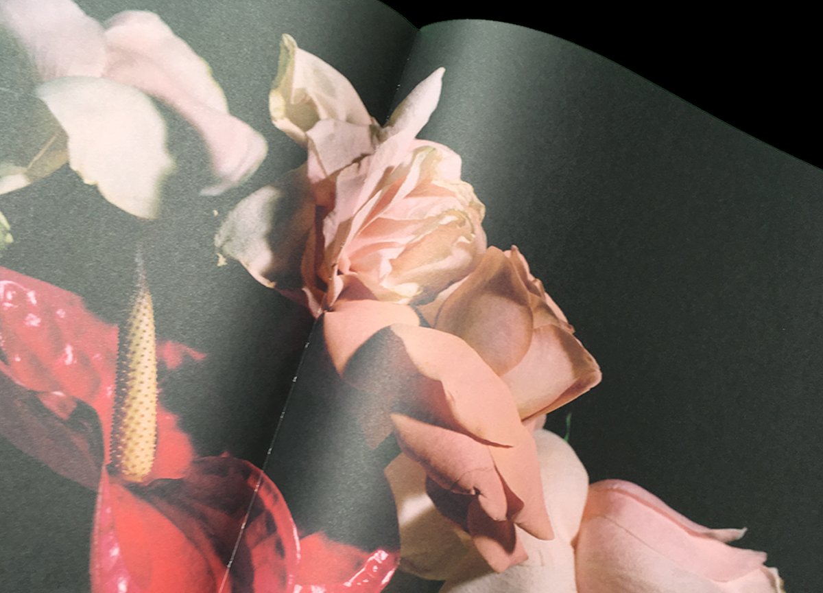 StackMagazines's tweet photo. Conversations filled with candour &amp; empathy 🌹 #RomanceJournal
https://t.co/ggXUls1qvH https://t.co/wtH0ieXCW8
