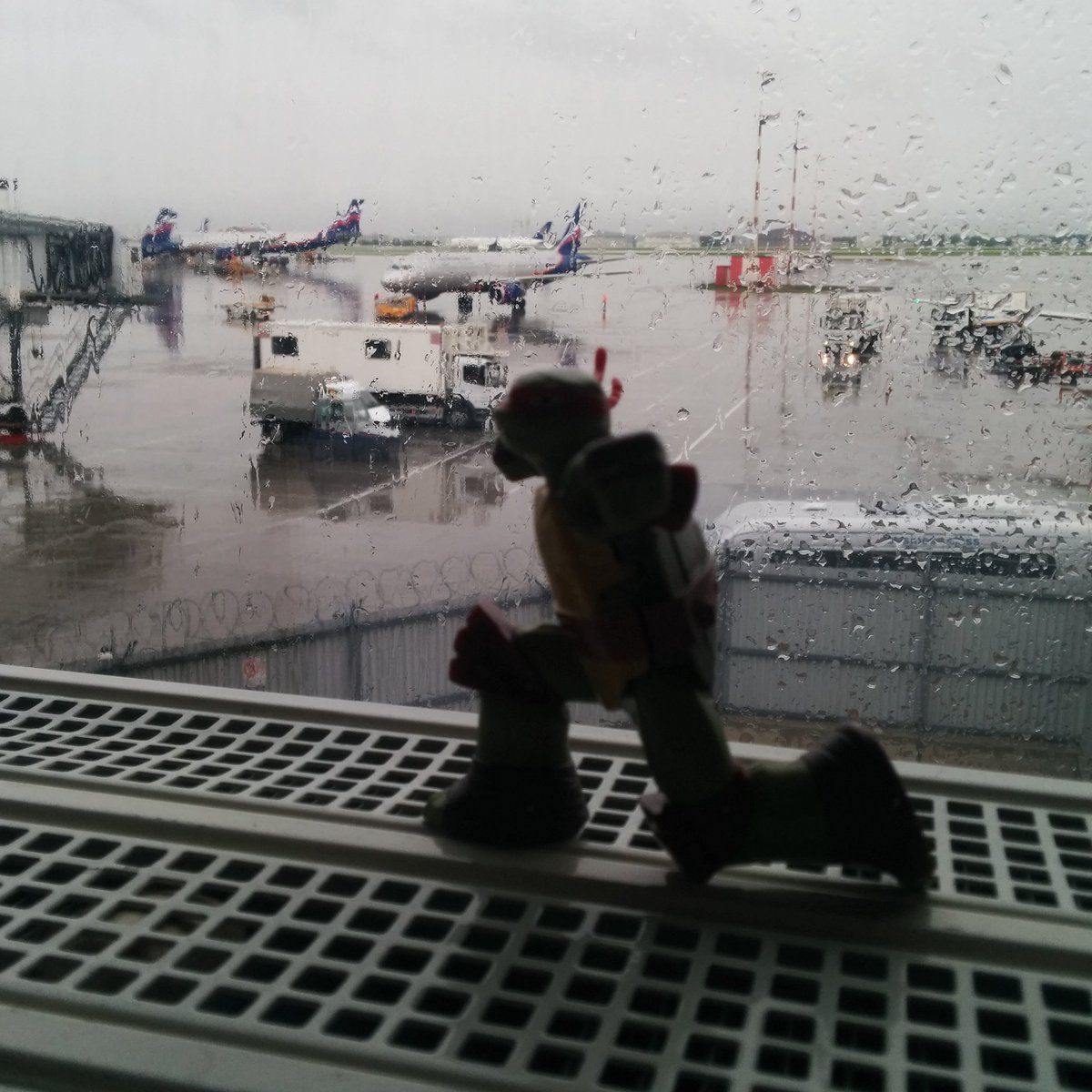 RaphTurtle42's tweet photo. Leaving Moscow under the rain 🛫 #ninjaturtles #travellingturtle #travelling #globetrotter #flying #voyages #Airport https://t.co/iFZ3Ts0y4q