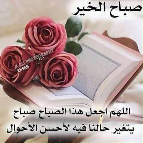 راشد (@yteyia) on Twitter photo 