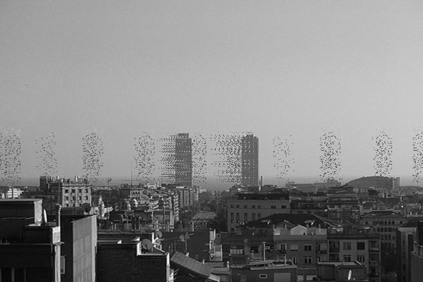 relationaldes's tweet image. Oggi inizia #CodeCreativity con Marcel Bilurbina! Impareremo a usare #Processing @p5xjs e svilupperemo commistioni tra analogico e digitale💻