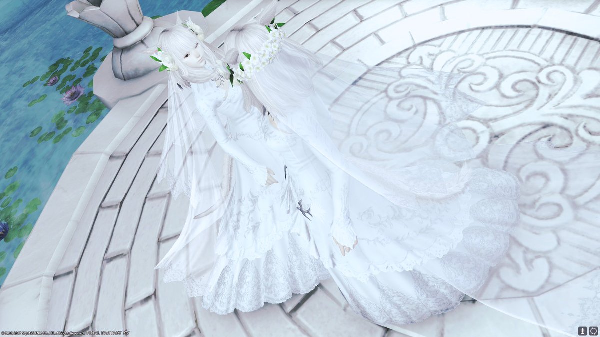 Twitter पर Alpha Ray Ff14 本日のミコッテ ミコッテグラビア エタバンのドレスのｓｓ撮りたくて 相方のミアと聖堂で撮影してきました そういえばエタバンの日程とか全然決めて無いや でもここ入り放題なのが良いですね