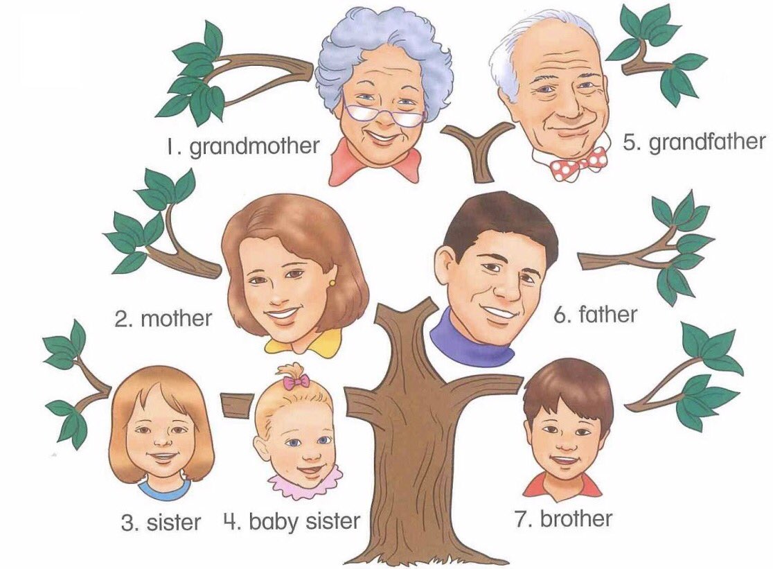 EngArabتعلم انجليزي on Twitter "أسماء أفراد العائلة بالإنجليزي…
