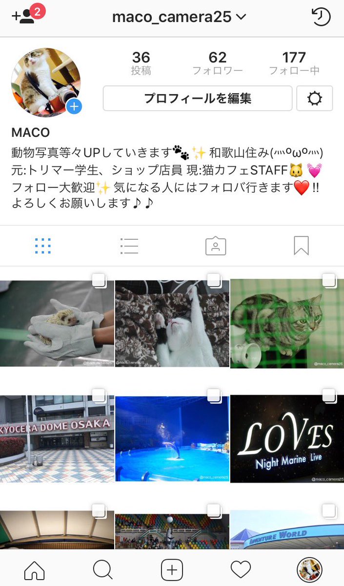 ＊m a c o＊ tweet media