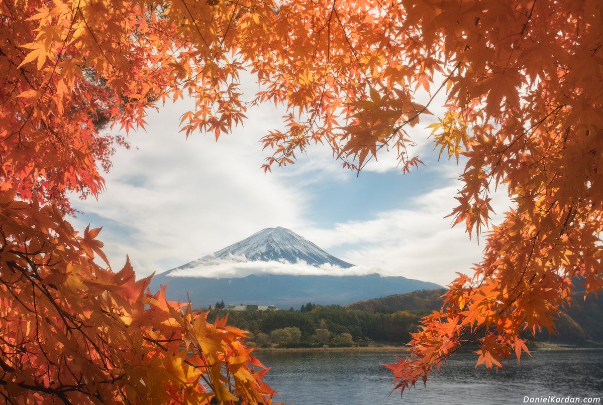 earthescope's tweet photo. Mt Fuji through fall colors | Photo by Daniel Kordan https://t.co/zLTkzphbby