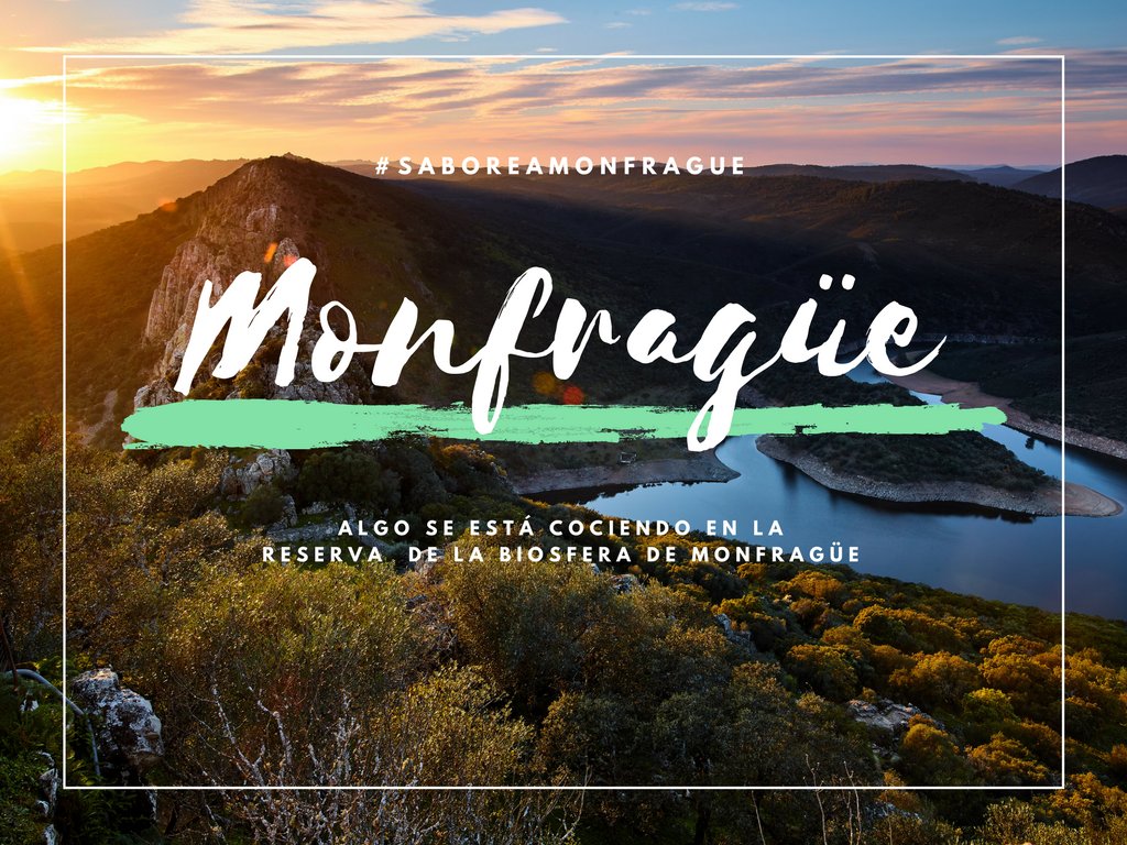 Turismo_DipCC's tweet photo. Seguimos cocinando el nuevo 📗 #recetario de la 🌄 #ReservadelaBiosfera de #Monfragüe muy pronto estará listo #SaboreaMonfrague 😋@DiputacionCC https://t.co/hoeox3nT76