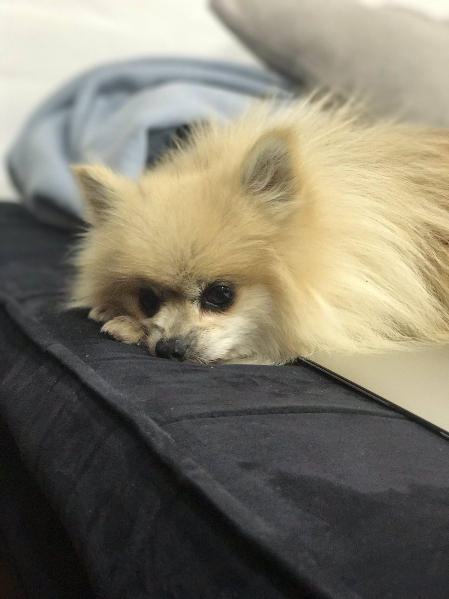 elaizajanee's tweet photo. Still looks cute even when he looks sad 😭❤ #minebutnotmine https://t.co/sQ5j7YbyS8